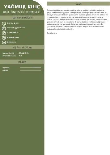 Okul Öncesi Öğretmeni Öğretmenliği Cv Örnekleri cv indir